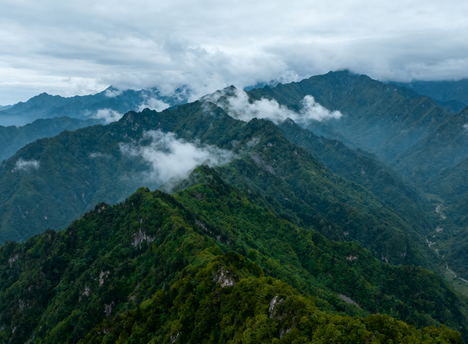 1761917042945959.png 介绍秦岭.png